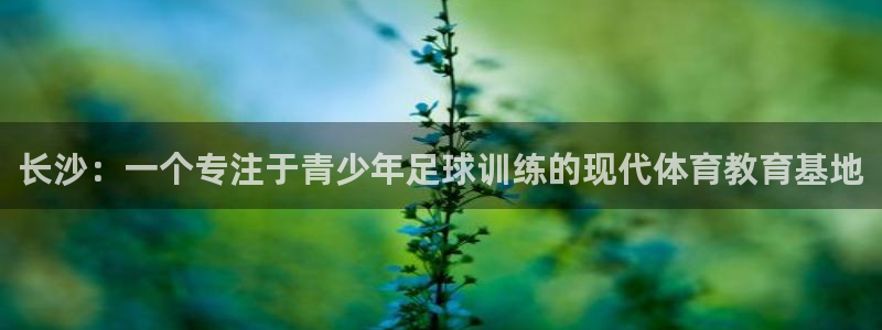 熊猫体育平台：长沙：一个专注于青少年足球训练的现代体育教育基地