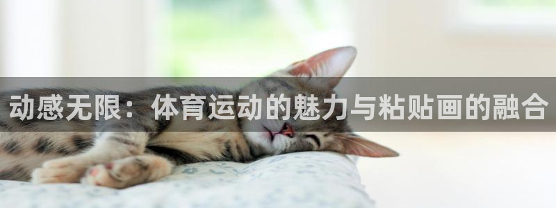 熊猫体育网址：动感无限：体育运动的魅力与粘贴画的融合