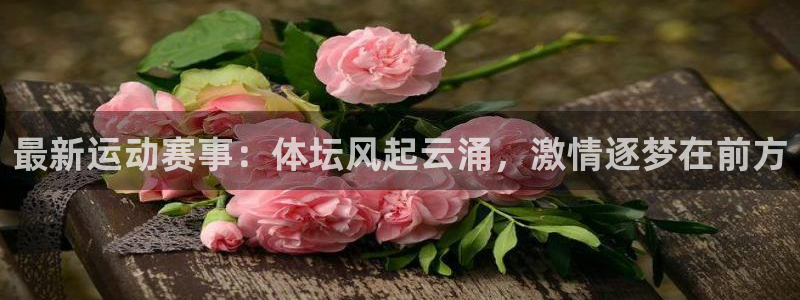 熊猫体育nba：最新运动赛事：体坛风起云涌，激情逐梦在前方