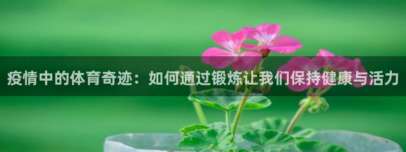 熊猫体育官网首页入口：疫情中的体育奇迹：如何通过锻炼让我们保持健康与活力
