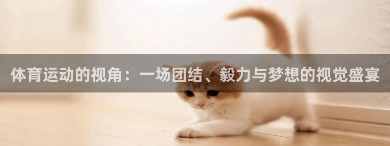 熊猫体育手机版：体育运动的视角：一场团结、毅力与梦想的视觉盛宴
