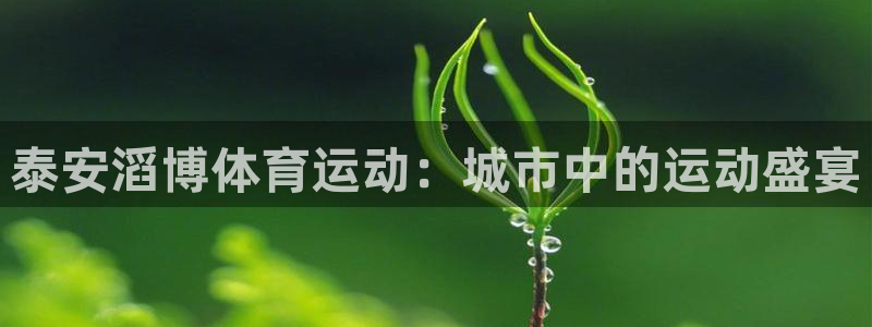 熊猫体育免费下载：泰安滔博体育运动：城市中的运动盛宴
