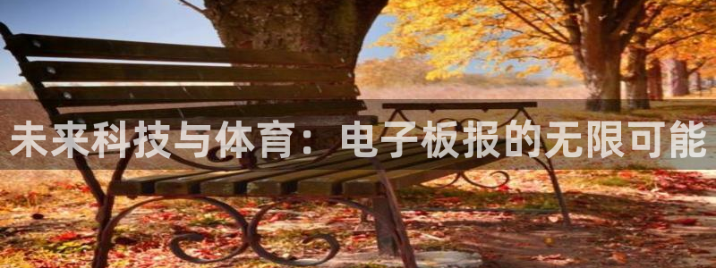 熊猫体育手机版下载：未来科技与体育：电子板报的无限可能