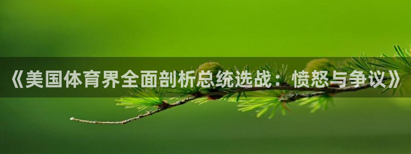 动感熊猫体育公园：《美国体育界全面剖析总统选战：愤怒与争议》