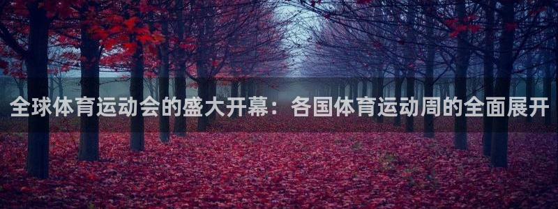 熊猫体育app官方下载最新版：全球体育运动会的盛大开幕：各国体育运动周的全面展开