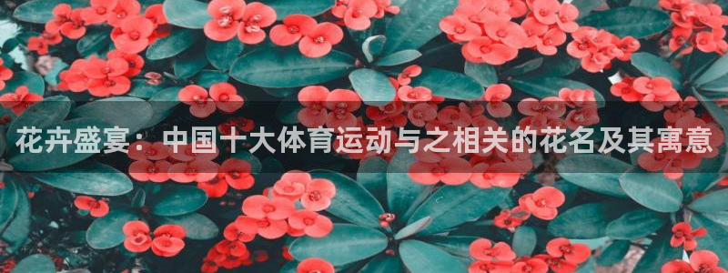 熊猫体育官方网站：花卉盛宴：中国十大体育运动与之相关的花名及其寓意