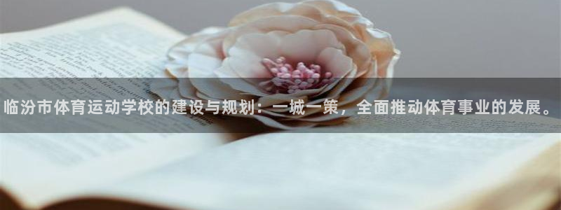 动感熊猫体育公园：临汾市体育运动学校的建设与规划：一城一策，全面推动体育事业的发展。