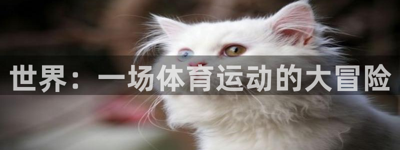 熊猫体育网站：世界：一场体育运动的大冒险